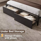 Cadre de lit plateforme Queen Size avec 2 tiroirs de rangement Tête de lit en bois Étagère Lumières LED Station de recharge Support en métal noir Aucun sommier tapissier requis Maison